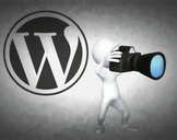 
WordPress for Photographers