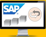 
SAP DeepDive - Return SD Order using SAP Best Practice