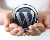 
WordPress: Make A Professional Website With No Coding