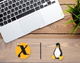 UNIX/Linux: Learning vi