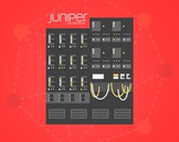 Juniper JNCIA OSPF