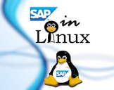 SAP - Installing and Configuring SAP in Linux