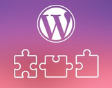 
Wordpress Plugins that will transform your Website