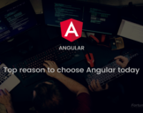 
Why Angular is the Best Framework<br><br>