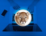 
Learn Mac OS X Mountain Lion