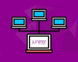 Juniper JNCIP BGP