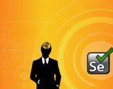 Selenium for Entrepreneurs: How to Use This Automation Tool