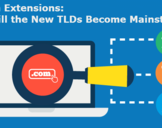 Domain Extensions: Will the New TLDs Become Mainstream?