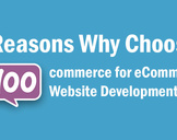 8 Reasons Why Choose Woocommerce for eCommerce Website Development