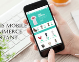 
Why Mobile-commerce is Important for Business<br><br>
