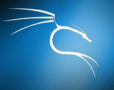
Kali Linux - The Ultimate Penetration Testing Course