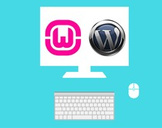 Install Wordpress Locally & Move Website Online