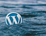 
How To Make A WordPress Website With A Great Landing Page