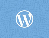 
Super Plugins: A Guide on the Best WordPress Plugins