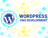 
Why Wordpress is the Best CMS to Develop a Website<br><br>